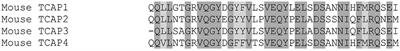 Corticotropin-Releasing Factor: An Ancient Peptide Family Related to the Secretin Peptide Superfamily